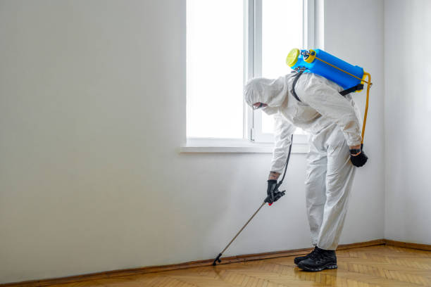 Best Emergency Pest Control  in Clarkton, MO